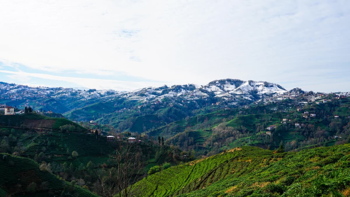 Karadeniz Yaylaları Rehberi: En İyi Yaylalar ve Rotalar